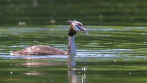 IMG_8025-2.jpg IMG_8025-2.jpg