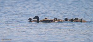 IMG_8120.jpg IMG_8120.jpg