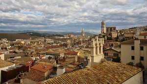 IMG_3877.jpg IMG_3877.jpg