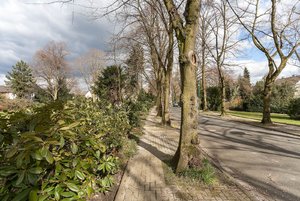 comp_IMG_8946.jpg comp_IMG_8946.jpg