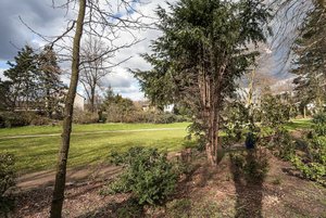 comp_IMG_8950.jpg comp_IMG_8950.jpg