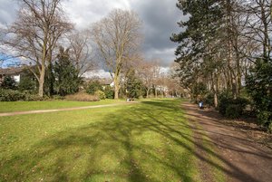 comp_IMG_8952.jpg comp_IMG_8952.jpg