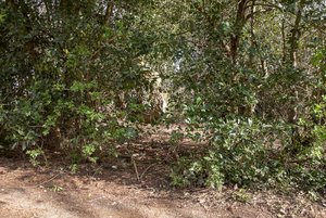 comp_IMG_8957.jpg comp_IMG_8957.jpg