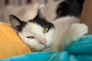 comp_IMG_9308.jpg comp_IMG_9308.jpg