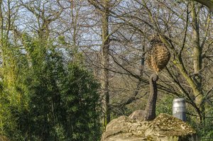 comp__DSC1985.jpg comp__DSC1985.jpg