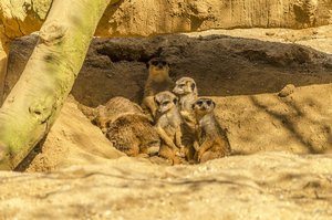 comp__DSC2047.jpg comp__DSC2047.jpg