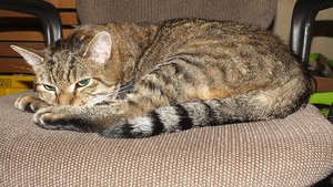 DSCF1514.jpg DSCF1514.jpg