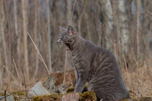 IMG_4342.jpg IMG_4342.jpg