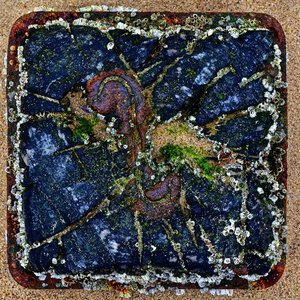 DSC_2296_ji.jpg DSC_2296_ji.jpg