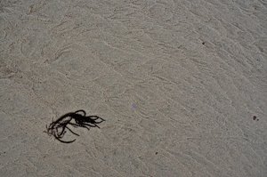 DSC_2329_ji.jpg DSC_2329_ji.jpg