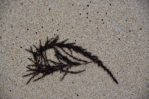 DSC_2326_ji.jpg DSC_2326_ji.jpg