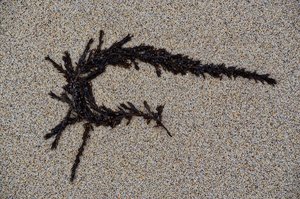 DSC_2312_ji.jpg DSC_2312_ji.jpg