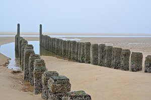 DSC_2294_ji.jpg DSC_2294_ji.jpg