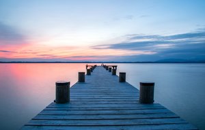 comp_DSC_3103.jpg comp_DSC_3103.jpg