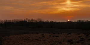 Neues Land entdeckt 3.jpg