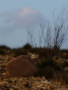 Neues Land entdeckt 5.jpg