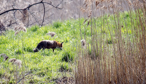 DSC_1504.jpg DSC_1504.jpg