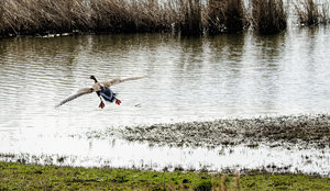 DSC_1622.jpg DSC_1622.jpg