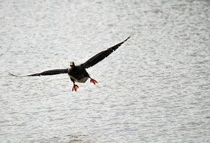 DSC_1629.jpg DSC_1629.jpg