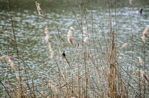 DSC_1689.jpg DSC_1689.jpg