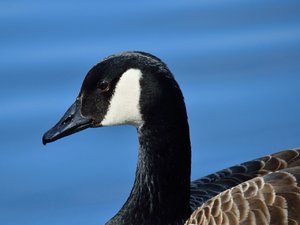 comp_DSC_3480.jpg comp_DSC_3480.jpg