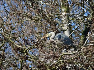 comp_DSC_3508.jpg comp_DSC_3508.jpg