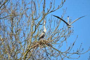 comp_DSC_3563.jpg comp_DSC_3563.jpg