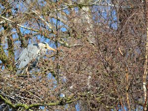 comp_DSC_3572.jpg comp_DSC_3572.jpg