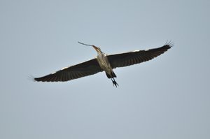 comp_DSC_3683.jpg comp_DSC_3683.jpg