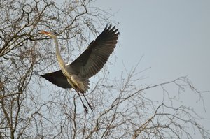 comp_DSC_3751.jpg comp_DSC_3751.jpg