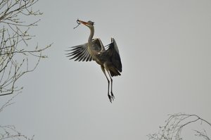 comp_DSC_3753.jpg comp_DSC_3753.jpg