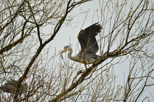 comp_DSC_3835.jpg comp_DSC_3835.jpg