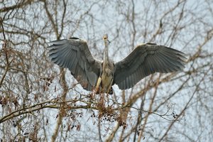 comp_DSC_3883.jpg comp_DSC_3883.jpg