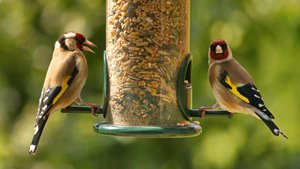 comp_DMC-GX7 - P1600671.RW2.jpg