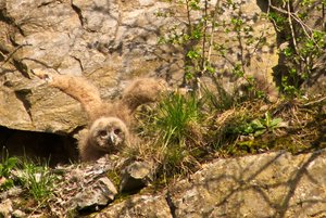 comp_DMC-GX7 - P1590819.RW2.jpg comp_DMC-GX7 - P1590819.RW2.jpg