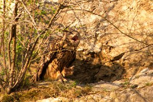 comp_DMC-GX7 - P1600239.RW2.jpg comp_DMC-GX7 - P1600239.RW2.jpg