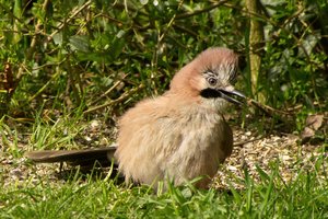 comp_DMC-GX7 - P1600841.RW2.jpg