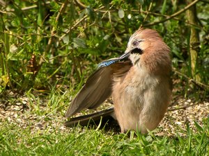 comp_DMC-GX7 - P1600853.RW2.jpg