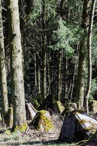 Teile des Westwalls 1.jpg