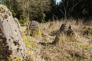 Teile des Westwalls 2.jpg
