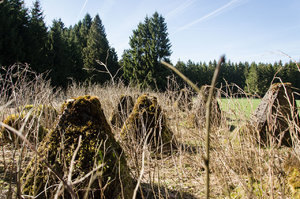 Teile des Westwalls 3.jpg