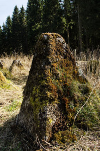 Teile des Westwalls 4.jpg