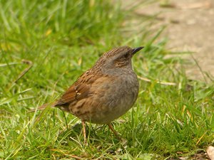 comp_DMC-GX7 - P1570943.RW2.jpg