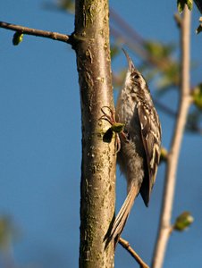 comp_DMC-GX7 - P1600903.RW2.jpg