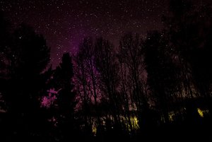 IMG_4545 - Arbeitskopie 2.jpg