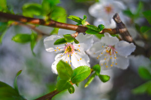 IMG_5006_02.jpg IMG_5006_02.jpg