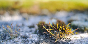 IMG_5022.jpg IMG_5022.jpg