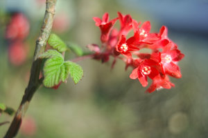 IMG_5032.jpg IMG_5032.jpg