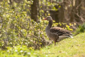 comp_IMG_9541.jpg comp_IMG_9541.jpg