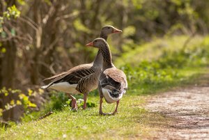 comp_IMG_9546.jpg comp_IMG_9546.jpg